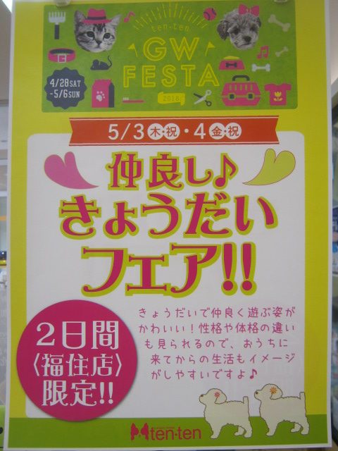 ★★仲良しきょうだいフェア★★