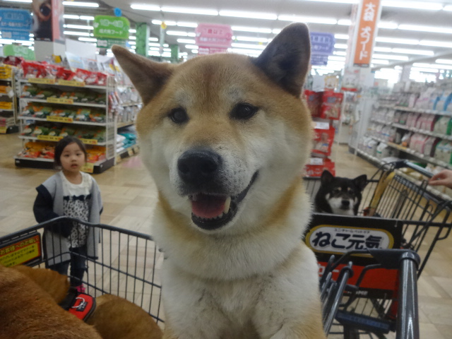 ★チャレンジカップ入賞！！★