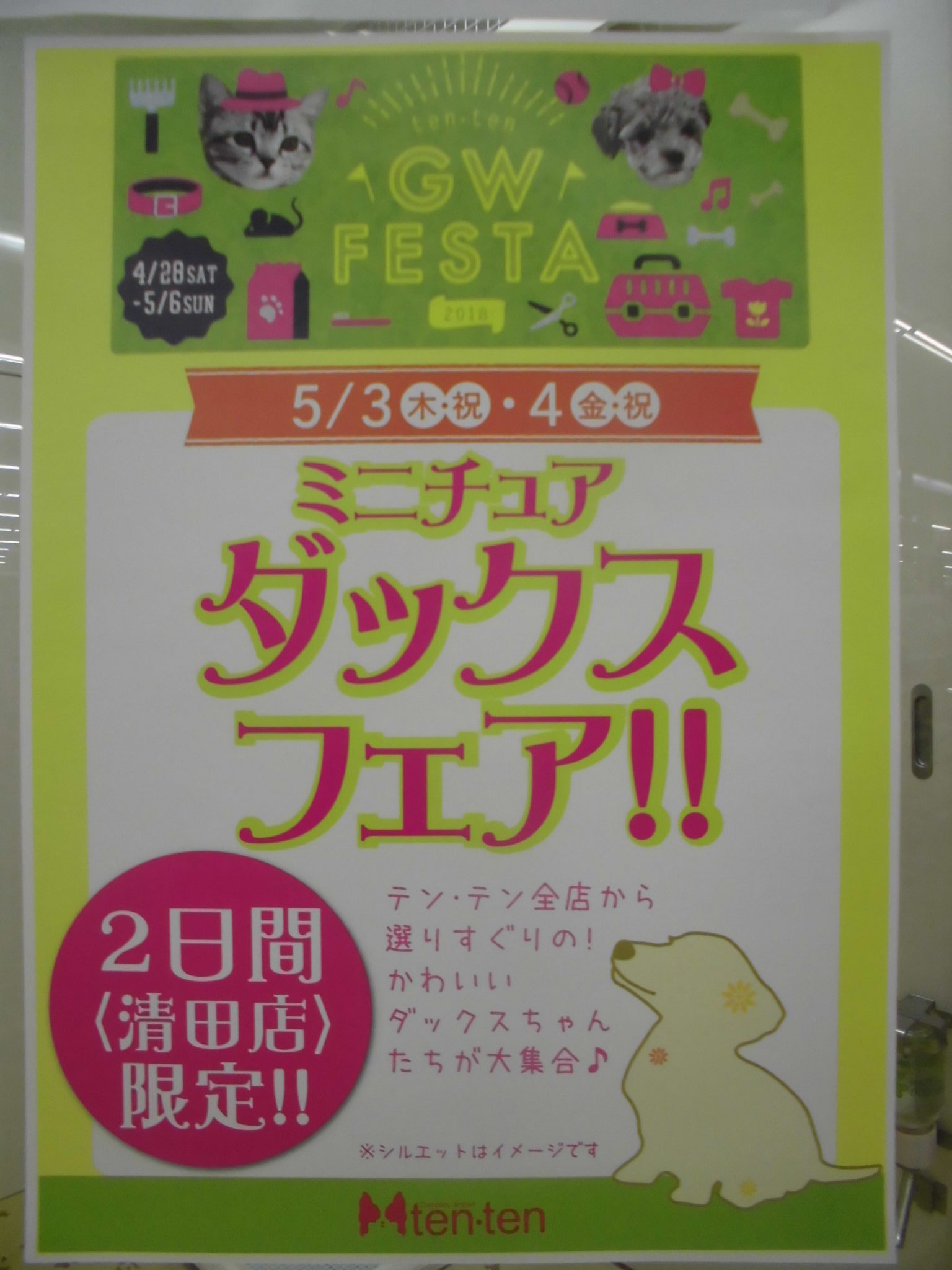 ダックスフェア開催中！！