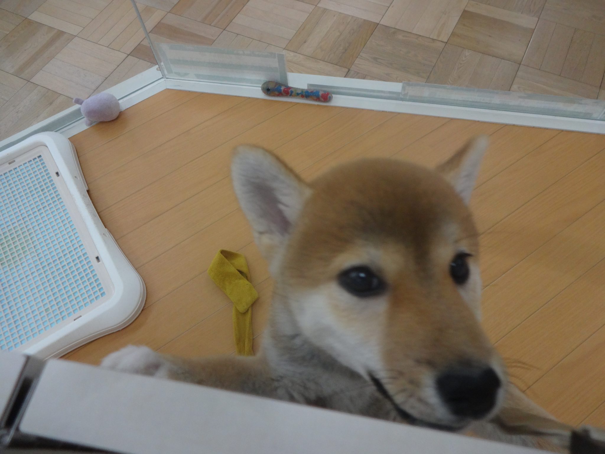 今日はお手入れＤＡＹ！