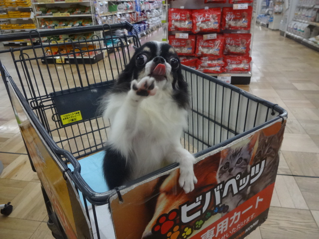 ★トリミングでプラスＵＰ！！★
