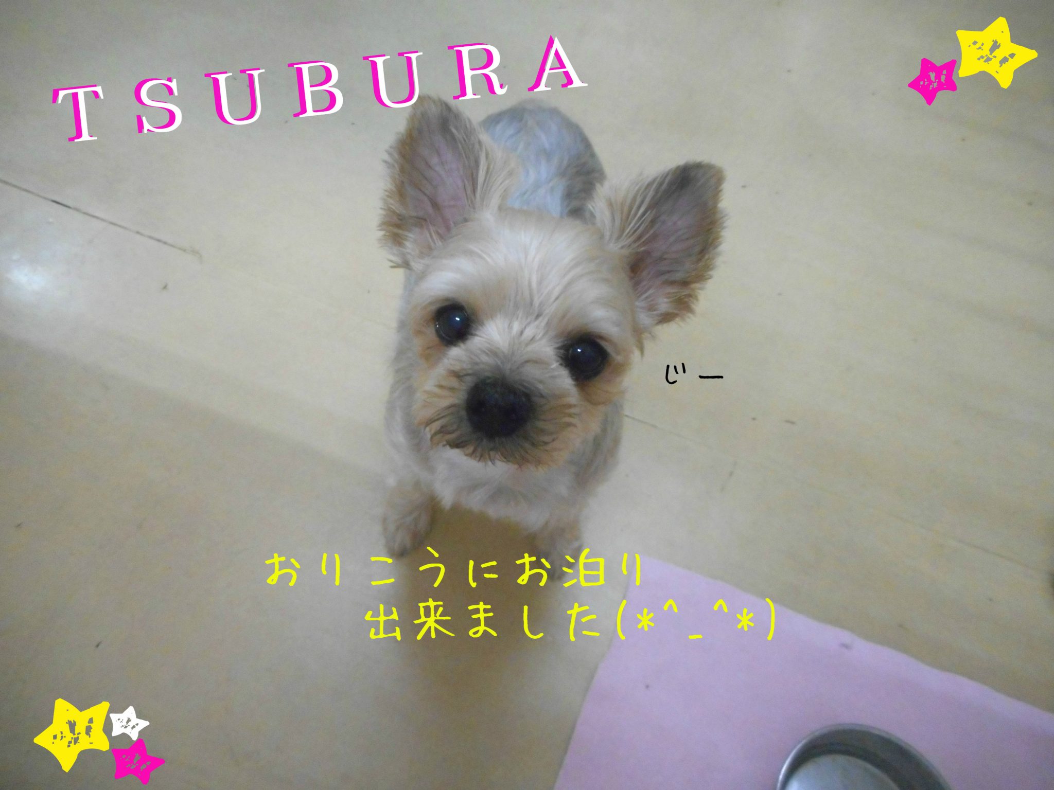 つぶらちゃんの１日(´▽｀*)