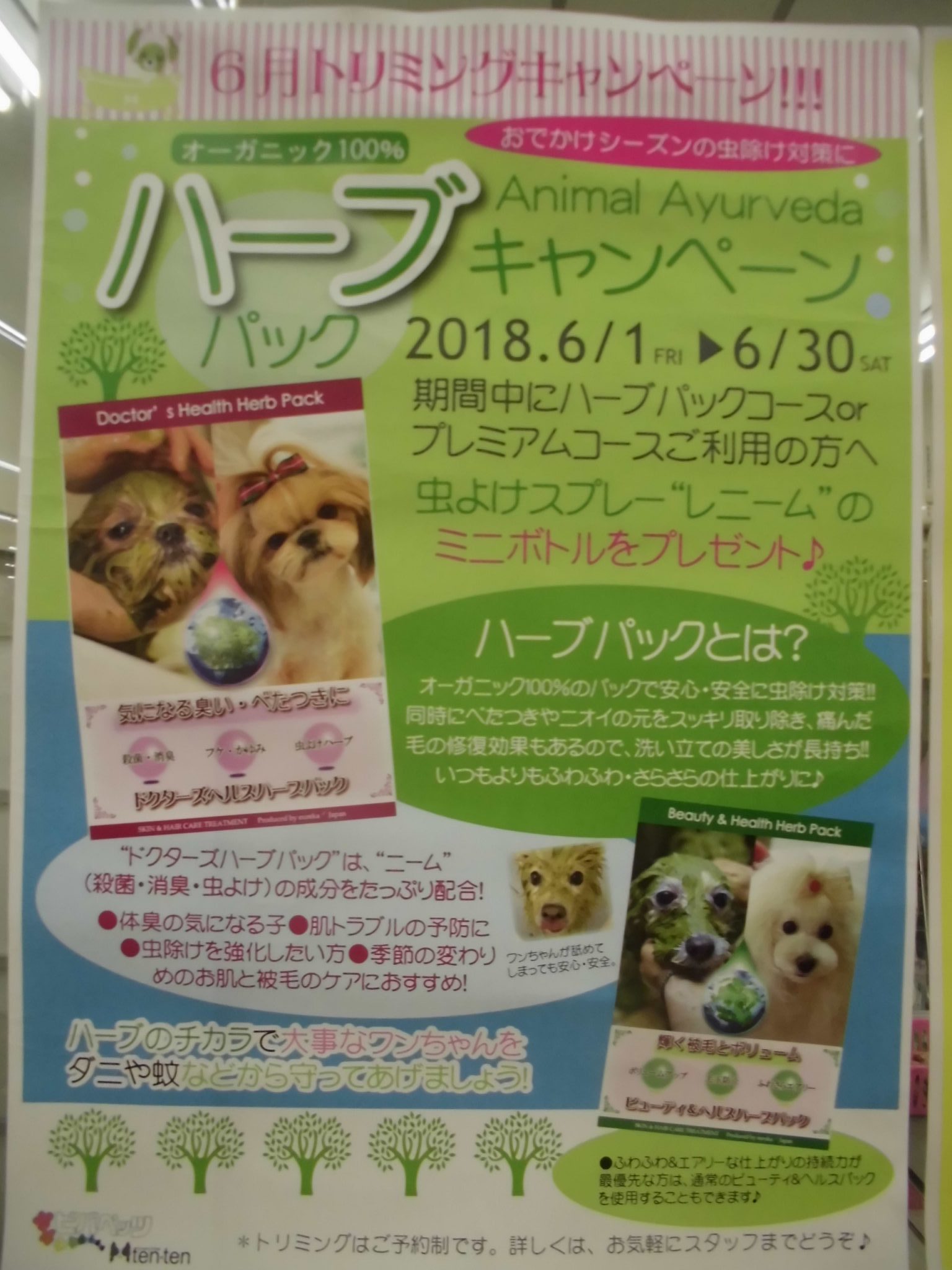 ６月限定！トリミングキャンペーン！！