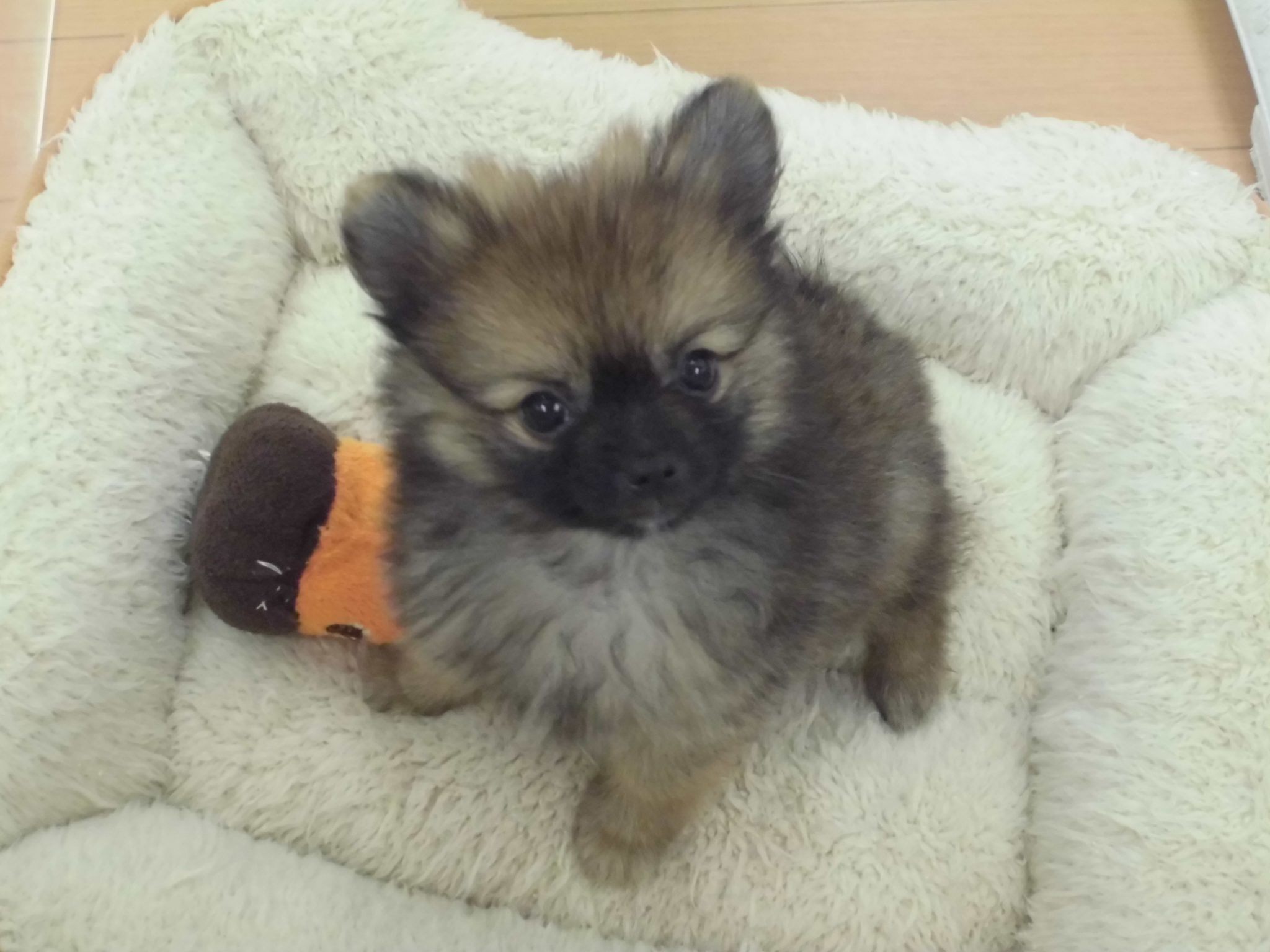 清田店に新メンバー勢ぞろい♪♪