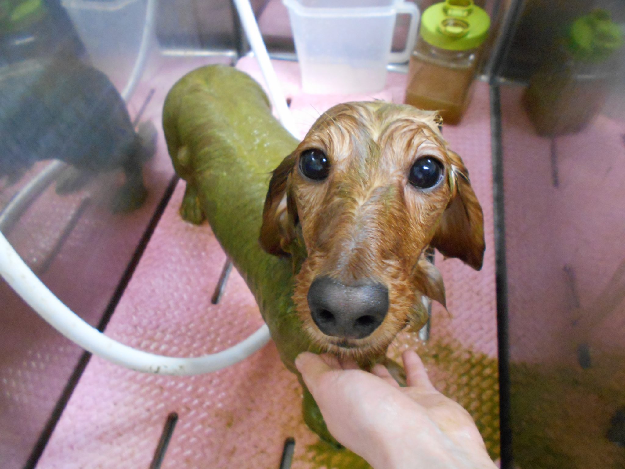 これからの時期にオススメ☆