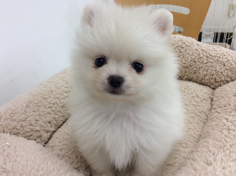 ☆ついに・・・☆