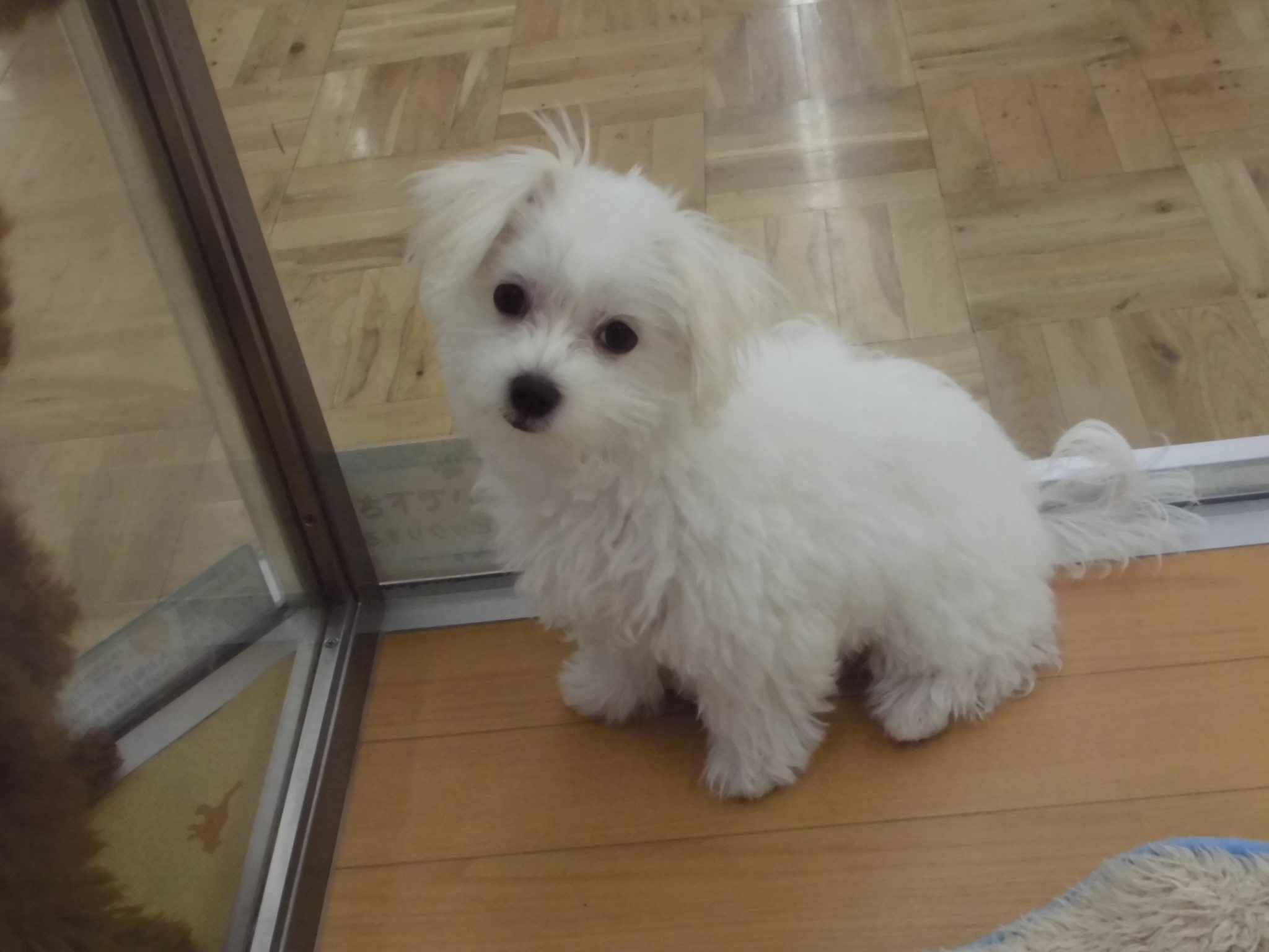 お友達紹介ラスト！！