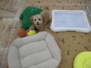 お外で遊んでるよ～♪♪