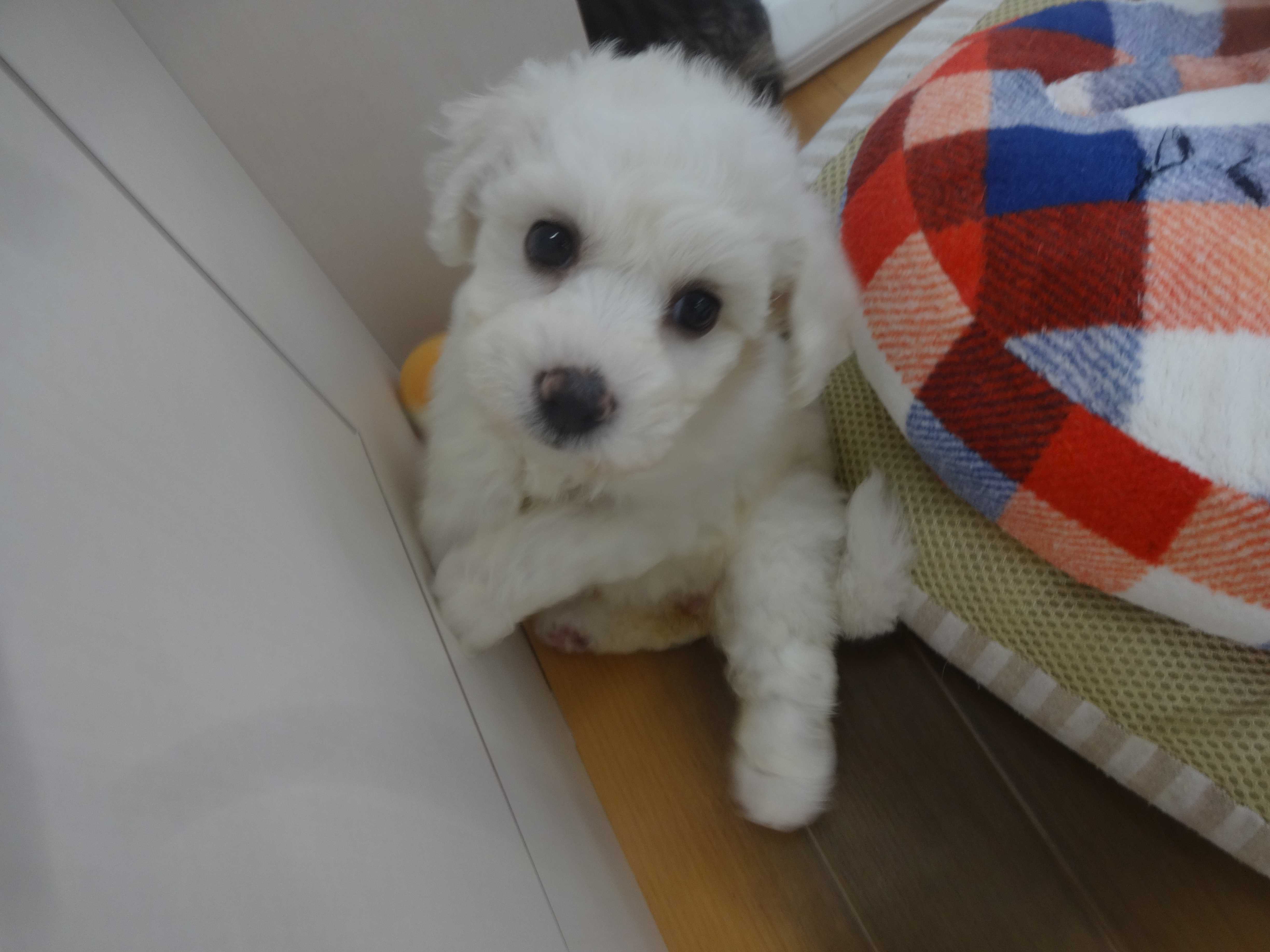 ☆ＮＥＷ　ＦＡＣＥ☆