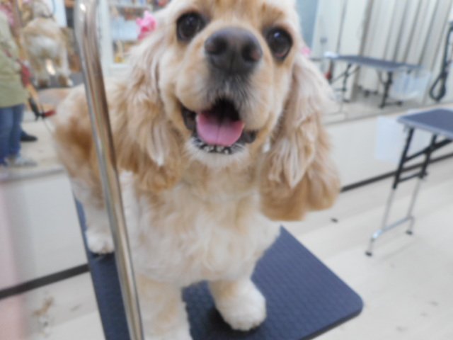 白石店にご来店♪♬☆彡