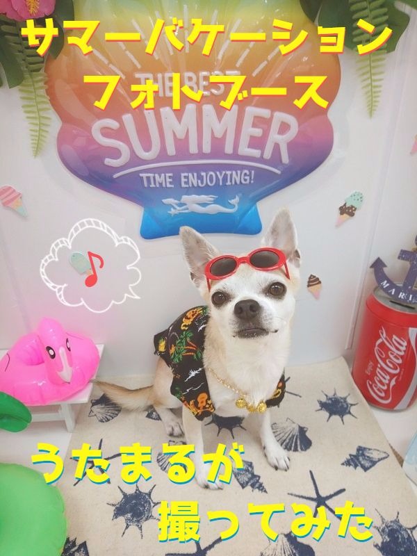 ☆フォトブースうたまるが撮ってみた☆