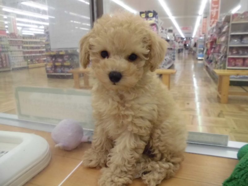 ８月スタート☆★