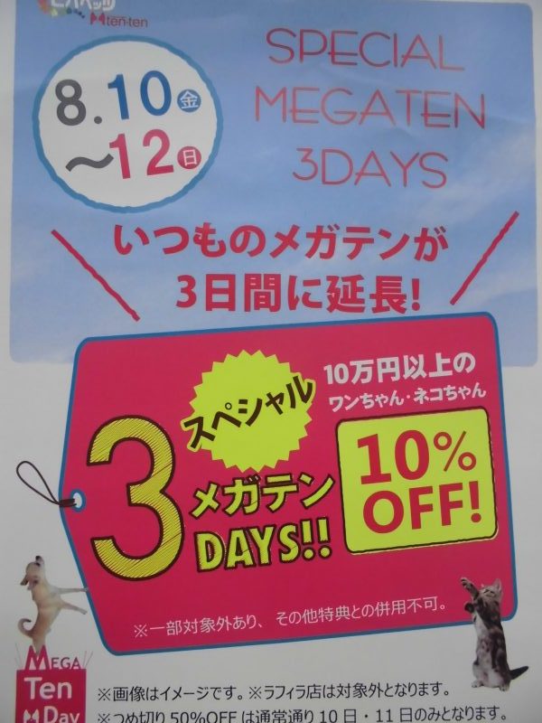☆メガテン３days☆