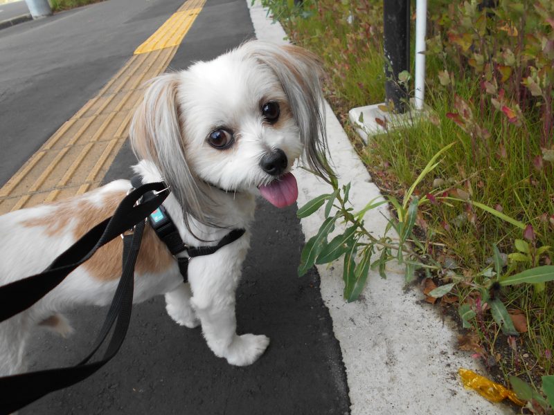 お泊り中のひまりちゃん♬