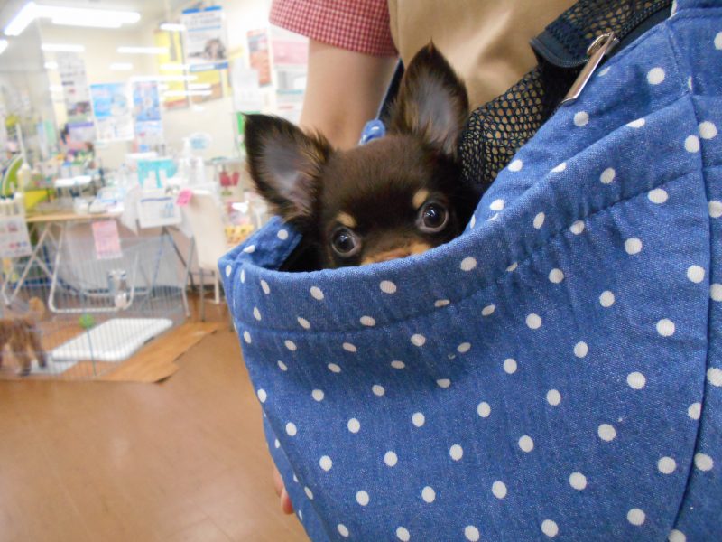 トレーニングデー☆彡