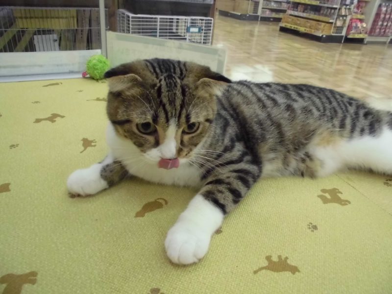 被災された方々へ。