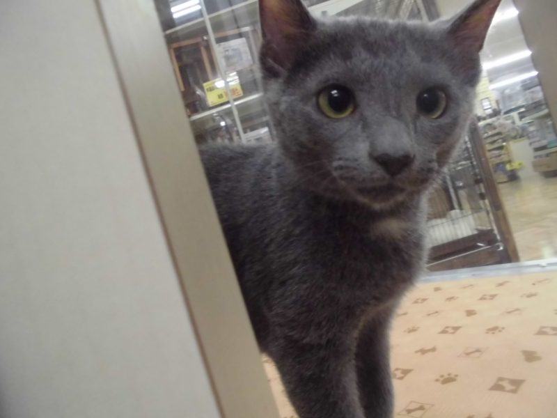 ☆新しいお友達☆