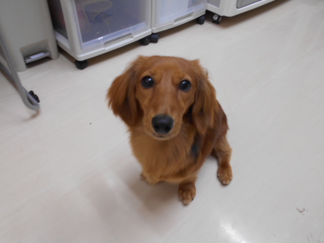 お泊りうめちゃん♥