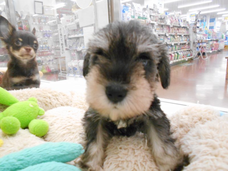 この度被災された皆様へ