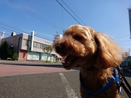 初めてホテルのそぼろちゃん♪♪