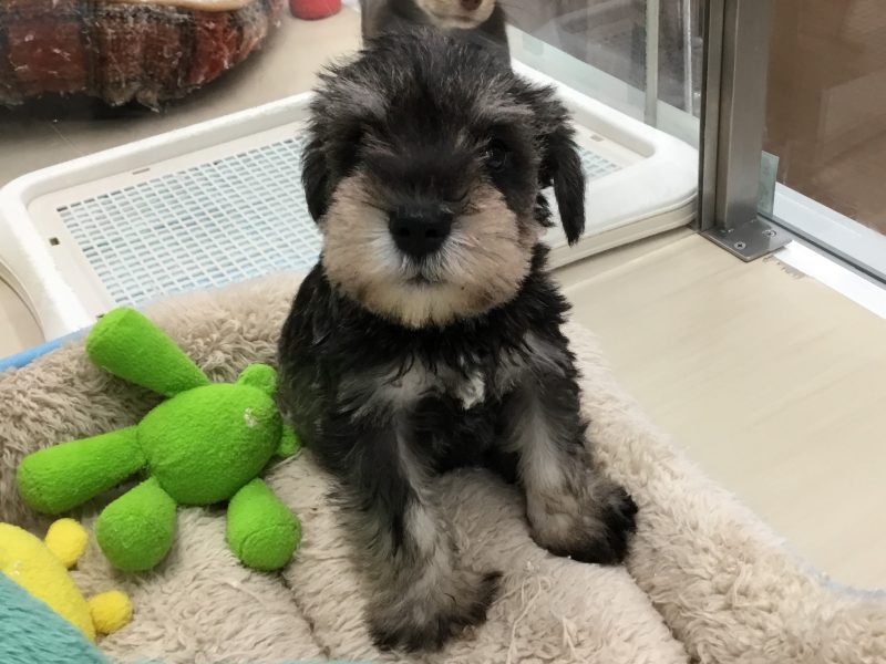 仲間が増えました♬