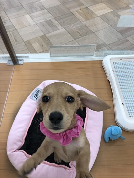 ☆今日のわたち☆