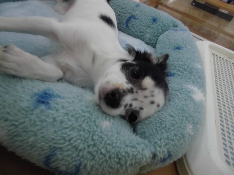 お友達が増えました♪