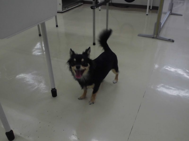 ドキドキ初めてのお泊り！