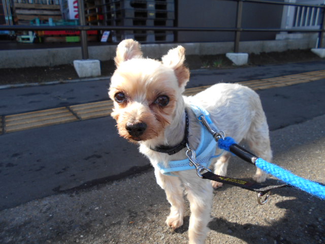 お泊り中のソラちゃん♪