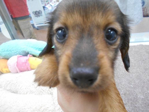 ☆新入りさん紹介☆