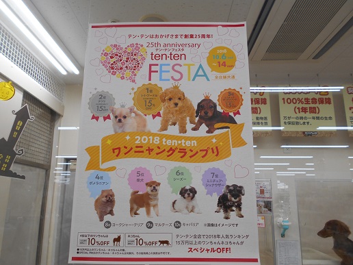 ☆★テンテンフェスタ★☆