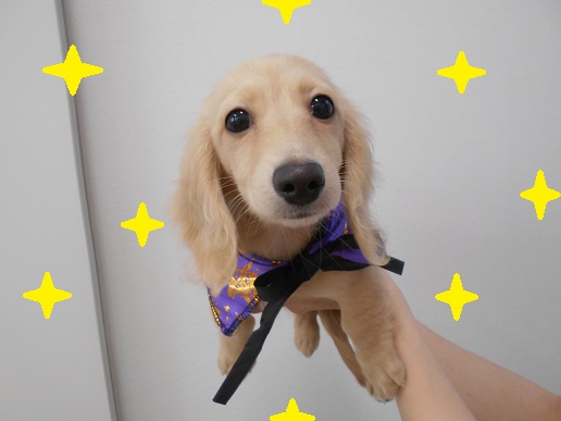 初めてのハロウィン★