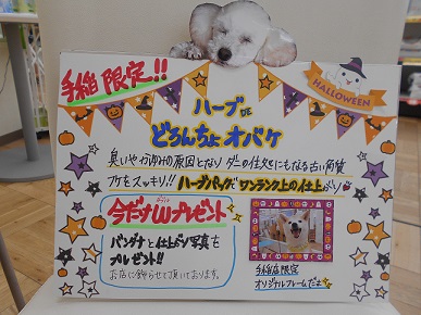 オバケ登場！？
