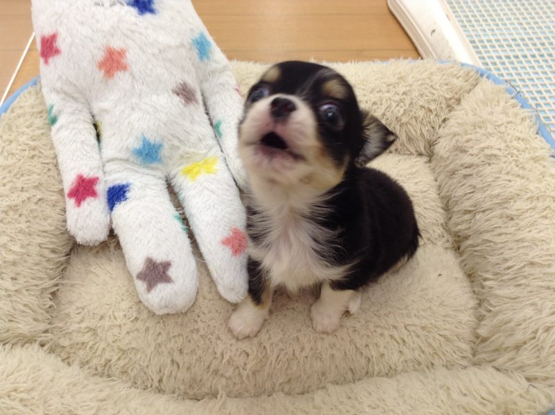 ♪新しいお友達♪