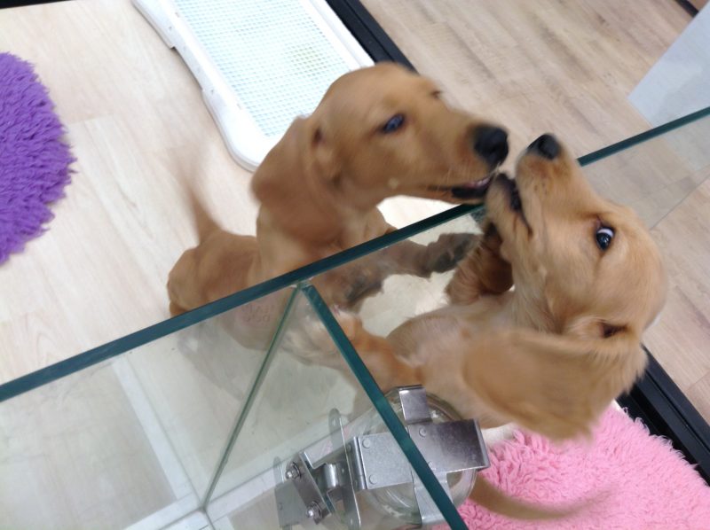 楽しいな♪♪