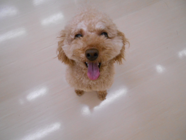 お泊り上手の小太郎くん♪