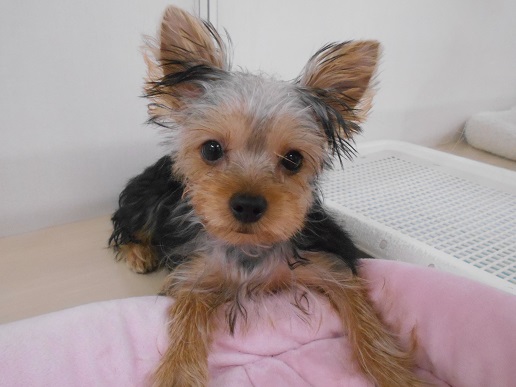 ☆小樽店の毎日☆