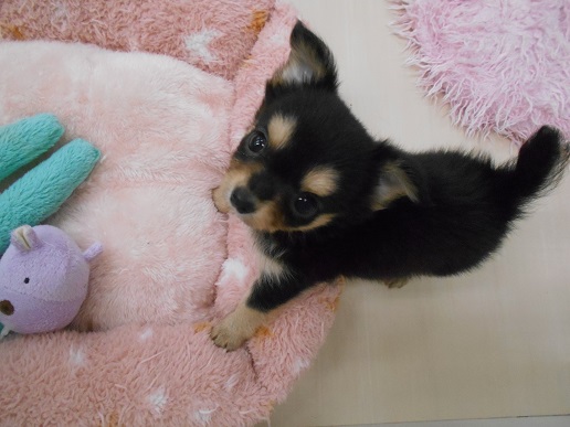 小さなお友達★