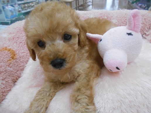 ☆新入りさん紹介☆