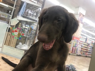 大きなお友達♪