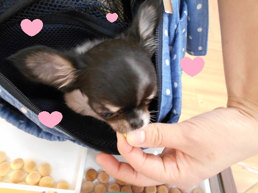 ☆ちーちゃんと美味しいおやつ☆