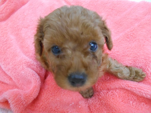 はじめまして♪