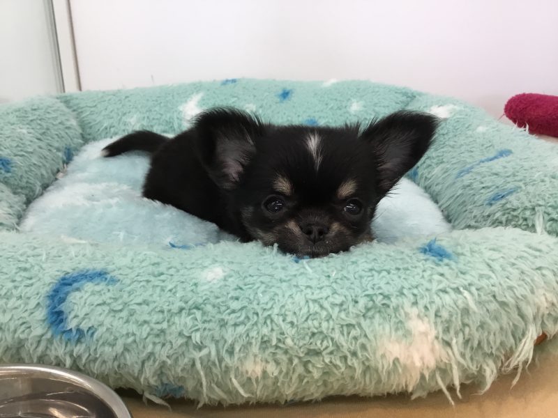 新年を迎える前に★