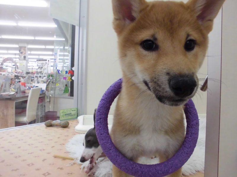 ♡HAPPY NEW YEAR♡