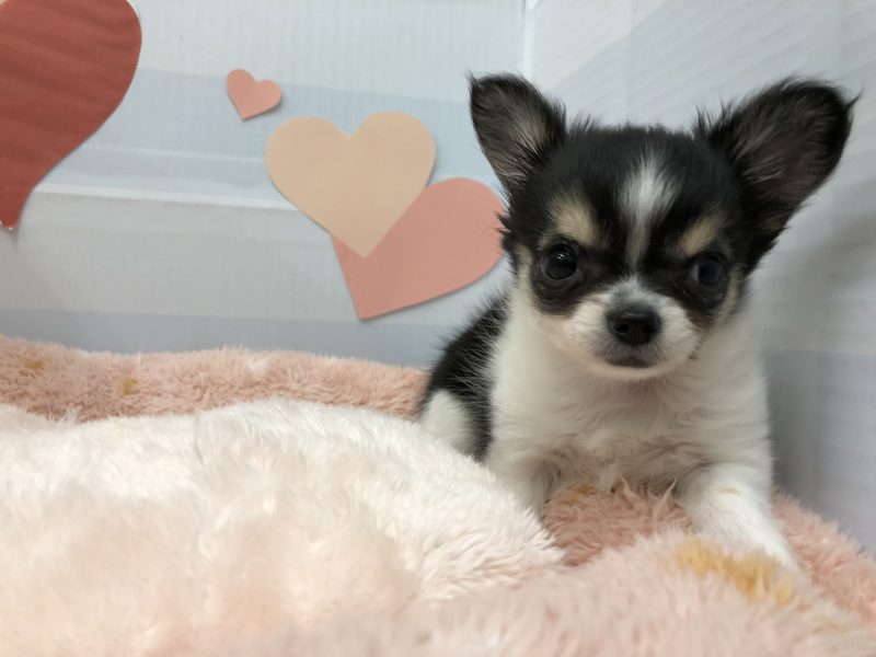 バトンタッチ！！