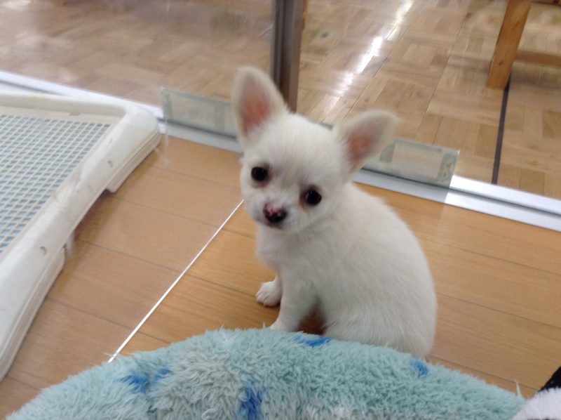 新入りさんたくさん！！