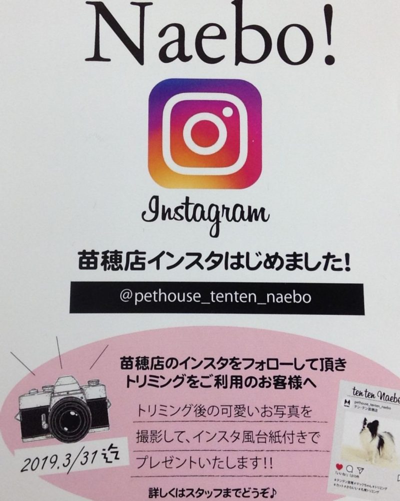 ❣インスタグラム始めました❣