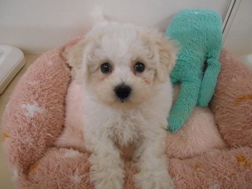 ☆新入りさん紹介☆