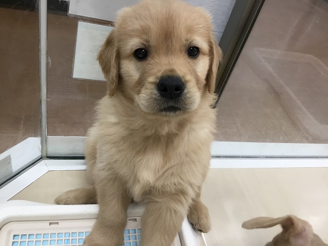 ★おおきなお友達★