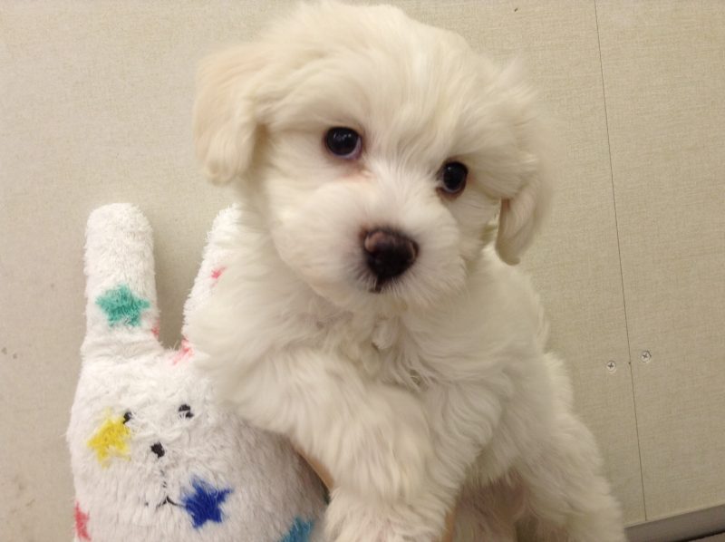 ＮｅｗＦａｃｅ☆彡